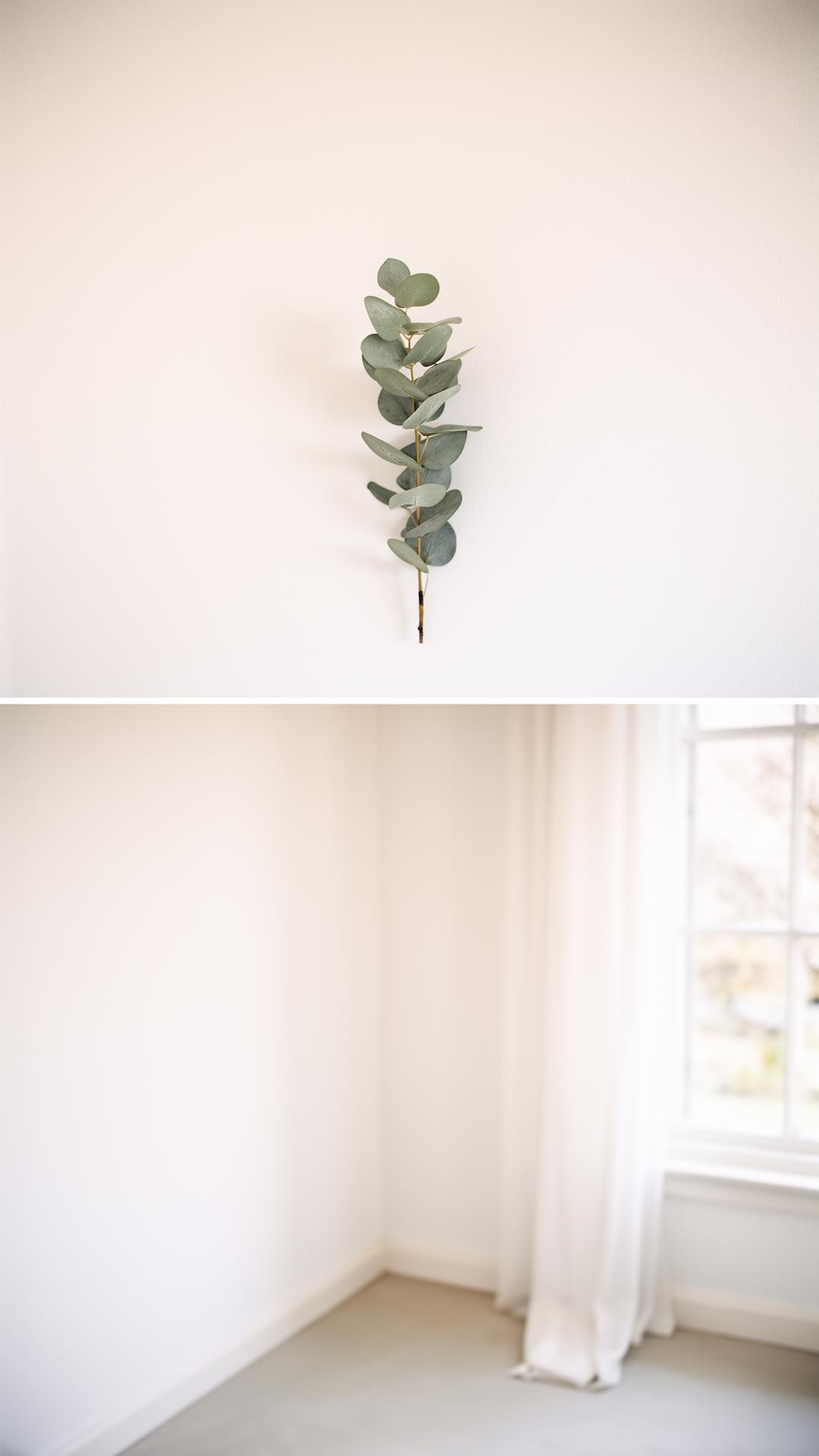 Scandinavian Modern